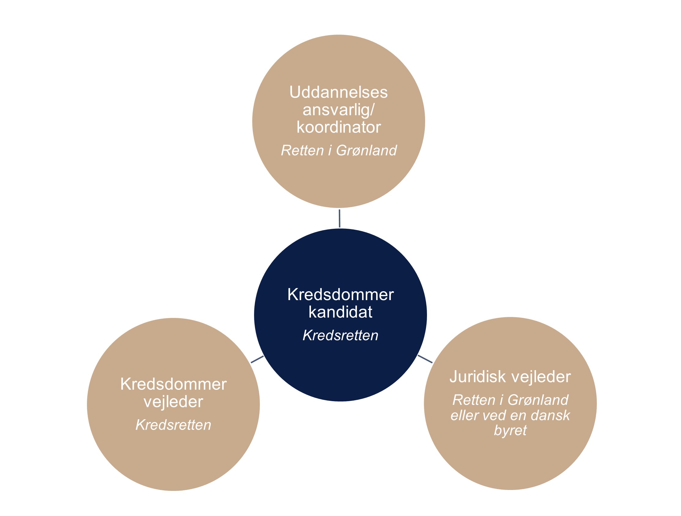 Kredsdommeruddannelse